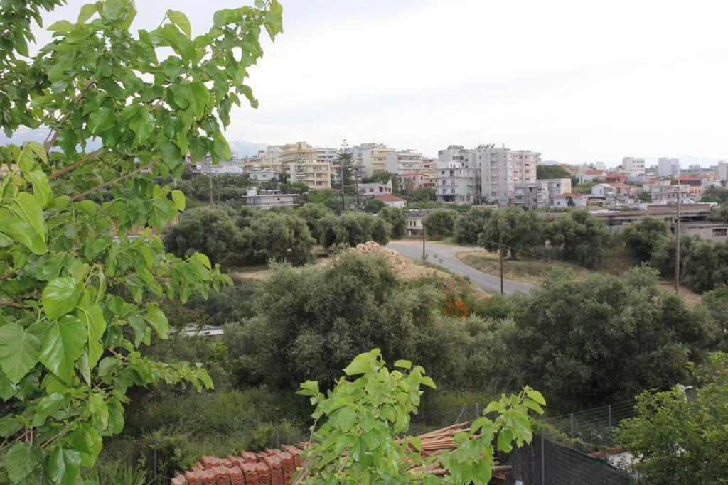 Άνετο Και Πολυτελές Οροφοδιαμέρισμα 2 하니아 외부 사진